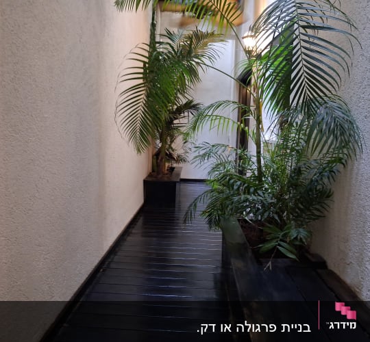 מסדרון עם רצפת עץ וצמחייה ירוקה